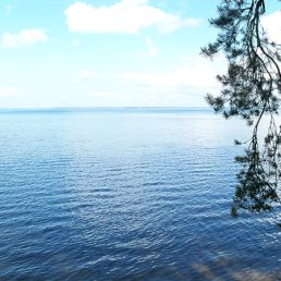 ���� Ol, �����, 57 ��� - ��������� 11 ���� 2010