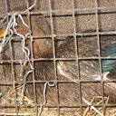 ���� �������, �������, 38 ��� - ��������� 28 ������ 2010 � ������ ������� �����!!!�