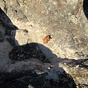 ���� �����, ���������, 60 ��� - ��������� 24 ������ 2012 � ������ ������������