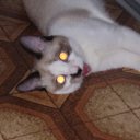 ���� �����, ��� - ��������� 11 ������� 2010 � ������ ���� ������ )�