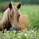 ���� ������, ������-��-����, 47 ��� - ��������� 19 ������� 2011 � ������ ���� ����������