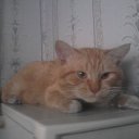  Demon, , 33  -  25  2011   