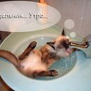 ���� ��������, ��������������, 57 ��� - ��������� 12 ������� 2009 � ������ �����������