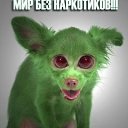 ���� �����, ������ - ��������� 7 ���� 2013 � ������ ������� ��