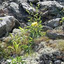  ˸, , 47  -  27  2012   