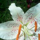 ���� �������, ������, 58 ��� - ��������� 2 ������� 2013 � ������ ���� ����������