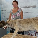 ���� �����, ���������, 67 ��� - ��������� 7 ������� 2012 � ������ ���� ����������