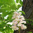 ����� ������ �������..... �� ������� ���� ����������