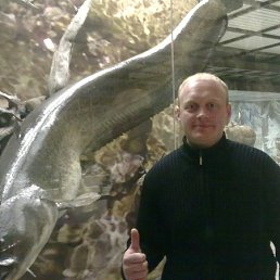 �����, ������, 47 ���