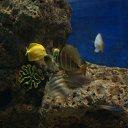  , , 47  -  7  2010   - 2010