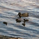  , -, 54  -  30  2010   