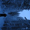 ���� �����, �����������, 47 ��� - ��������� 13 ��� 2011 � ������ ��������