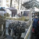 ���� Vladimir-kiev2010, ����, 51 ��� - ��������� 3 ������ 2013 � ������ �������