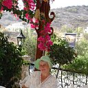 ���� �������, �����-���������, 72 ���� - ��������� 15 ���� 2013 � ������ ���� ����������