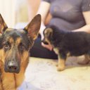 ���� ���������, ������-���, 66 ��� - ��������� 15 ������ 2011 � ������ �������� �����