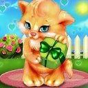 ���� �����, ������, 67 ��� - ��������� 1 ������� 2010 � ������ ���� ����������