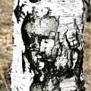 ���� �������, ������������ - ��������� 12 ������� 2011 � ������ ���������� ����