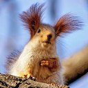 ���� F, ������������, 64 ���� - ��������� 29 ��� 2012 � ������ �������