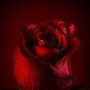 ���� Tatiana, ������, 49 ��� - ��������� 18 ��� 2013 � ������ ������ ��������