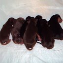 ���� ������, ������, 68 ��� - ��������� 9 ������� 2012 � ������ ���� ��������