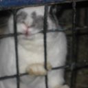 ���� �������, �������, 38 ��� - ��������� 28 ������ 2010 � ������ ������� �����!!!�