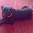 ���� ���, ����, 41 ��� - ��������� 18 ������� 2010 � ������ ���� ��������