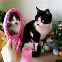 ���� �������, ����, 44 ���� - ��������� 28 ����� 2010 � ������ ���� ������� ����� :-)�