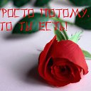 ���� �����, �����-���������, 44 ���� - ��������� 3 ��� 2010 � ������ ������� �������� ������� ����� ����� ������ �������