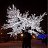 ���� Bimer, ������-��-����, 40 ��� - ��������� 21 ������ 2012