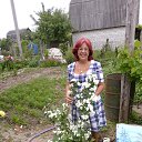  ,  -  6  2013   ,  ߻