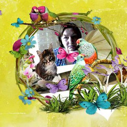 ���� �����, ������, 69 ��� - ��������� 3 ����� 2013