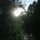  , , 36  -  31  2010    2010