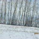 ���� ������, ����, 33 ���� - ��������� 3 ������� 2013 � ������ ���� ����������