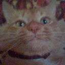  !!!!!!!!!!, , 60  -  7  2011   