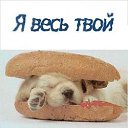���� ����������, ������, 40 ��� - ��������� 9 ������ 2012 � ������ �������