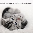  , ,  -  10  2013   ! :))))))))))))