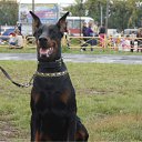 ���� ������, �����������, 63 ���� - ��������� 25 ������ 2012 � ������ ���� ����������