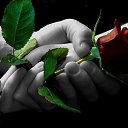 ���� �����, ������ - ��������� 21 ������� 2013 � ������ ���� ����������