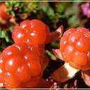 ������� �����.. �� ������� ���� ����������