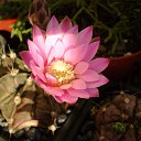 ���� ������, ������, 69 ��� - ��������� 5 ������ 2013 � ������ ���� ��������� ����������