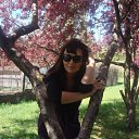 ���� �������, ���������, 48 ��� - ��������� 29 ��� 2010 � ������ ���� ����������