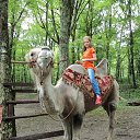 ���� ����������, ����������, 25 ��� - ��������� 2 ���� 2013 � ������ ���� ����������