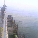 ���� �������, ������������, 56 ��� - ��������� 22 ������ 2010 � ������ �������