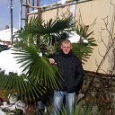 ���� ������, �����������, 39 ��� - ��������� 23 ������ 2012