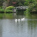   (), , 39  -  28  2010    2010