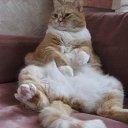 ���� Ninon, ���� - ��������� 20 ������� 2009 � ������ ����������� ����Ȼ