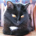  , , 53  -  25  2012   !