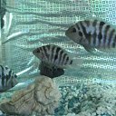 ���� �������, ������, 48 ��� - ��������� 28 ������� 2010 � ������ ���� ��������