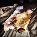 ��� � �����, ������ ���� �� ������� ������