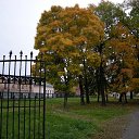 � ������� ����� �� ������� ���������� ���������